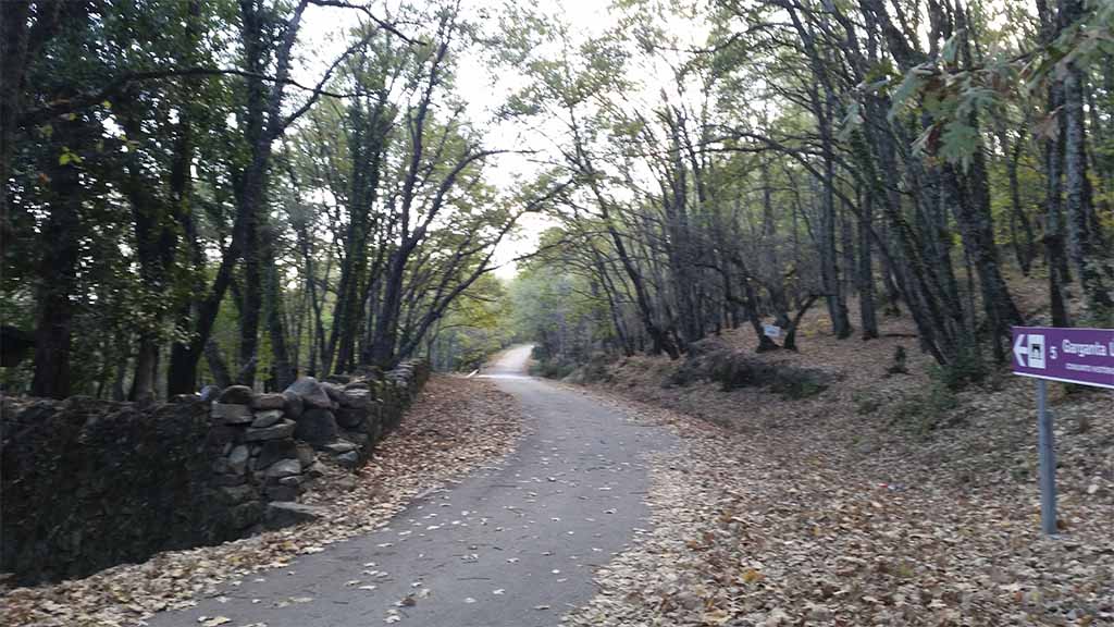 Carretera de Garganta la Olla al monasterio de Yuste