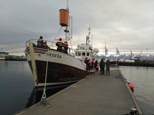 Avistamiento de ballenas en Husavik y visita al lago Myvatn