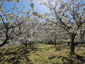 7 escapadas perfectas para esta Semana Santa