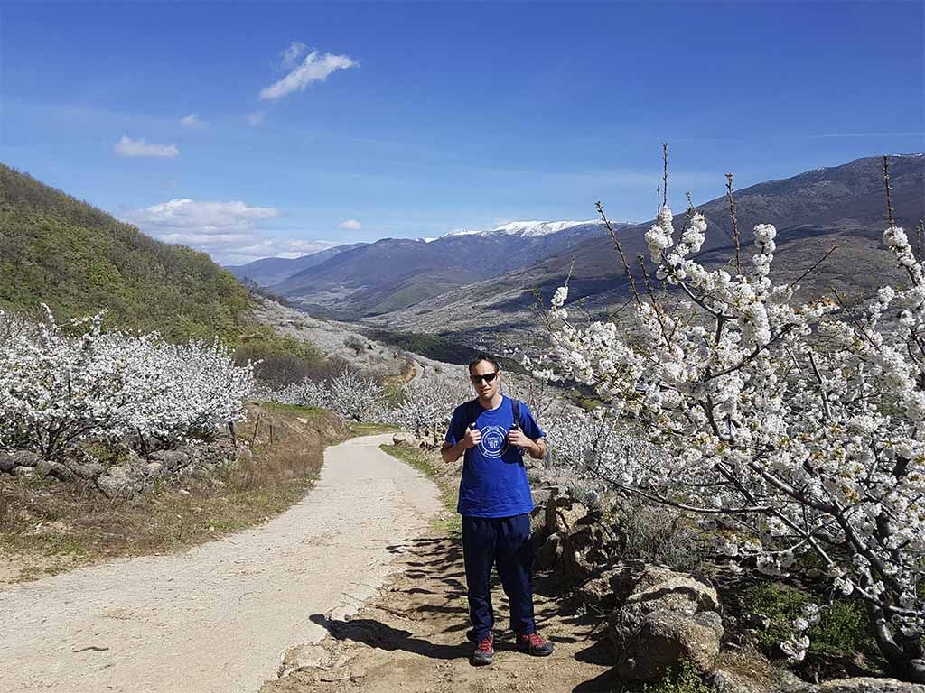 Cerezo en Flor, en el Valle del Jerte