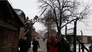 Visita guiada de Cracovia a Auschwitz