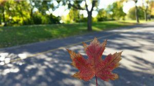 La eTA para viajara a Canadá es un requisito