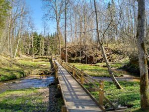 Excursión al Parque Nacional de Gauja desde Riga