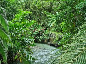 Presupuesto para viajar a Costa Rica