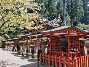 Visita a Nikko en un día desde Tokio