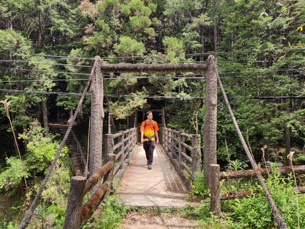 caminando por la ruta kumano kodo en japón
