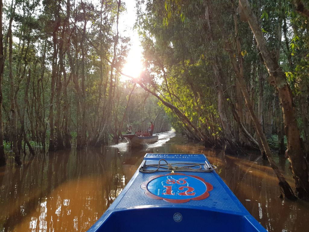 barco bosque tra su cajuput chau doc