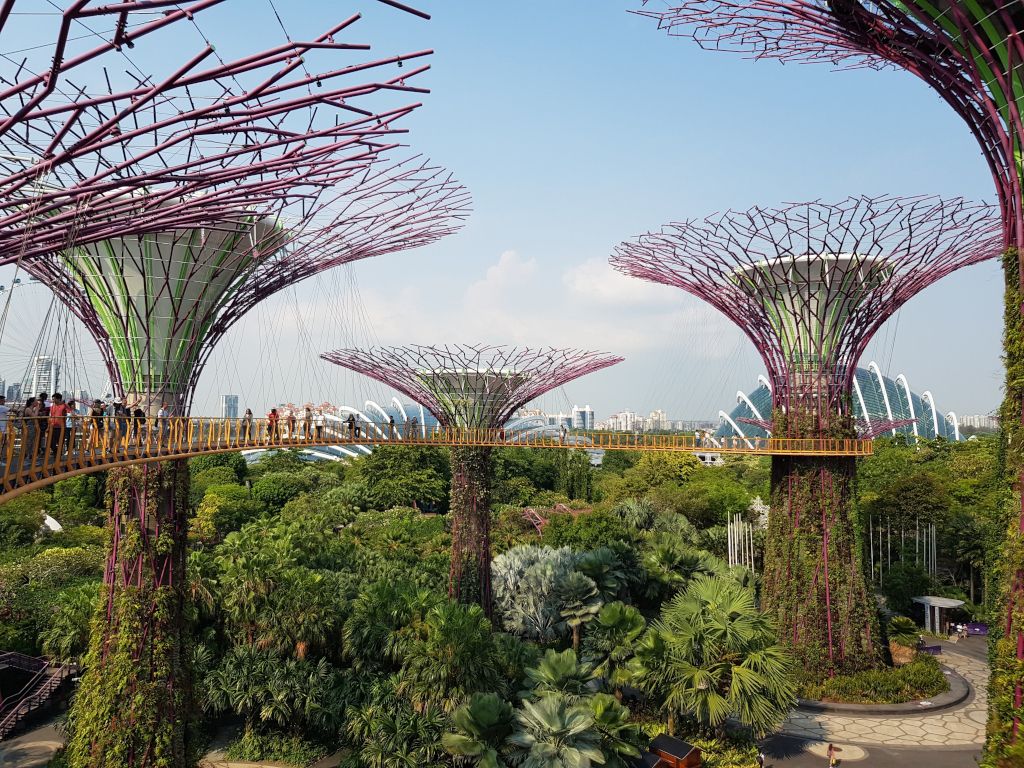 gardens by the bay singapur