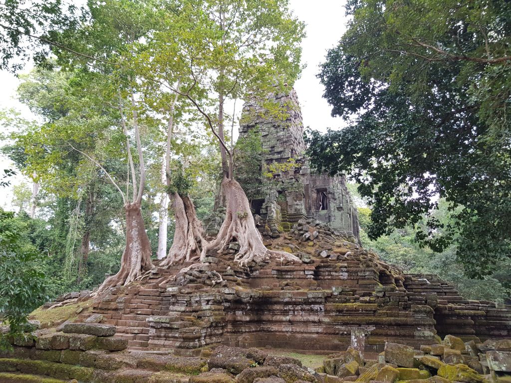 naturaleza angkor wat