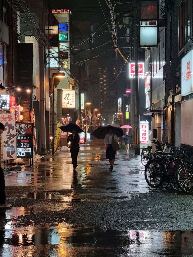 calles de Nibancho por la noche